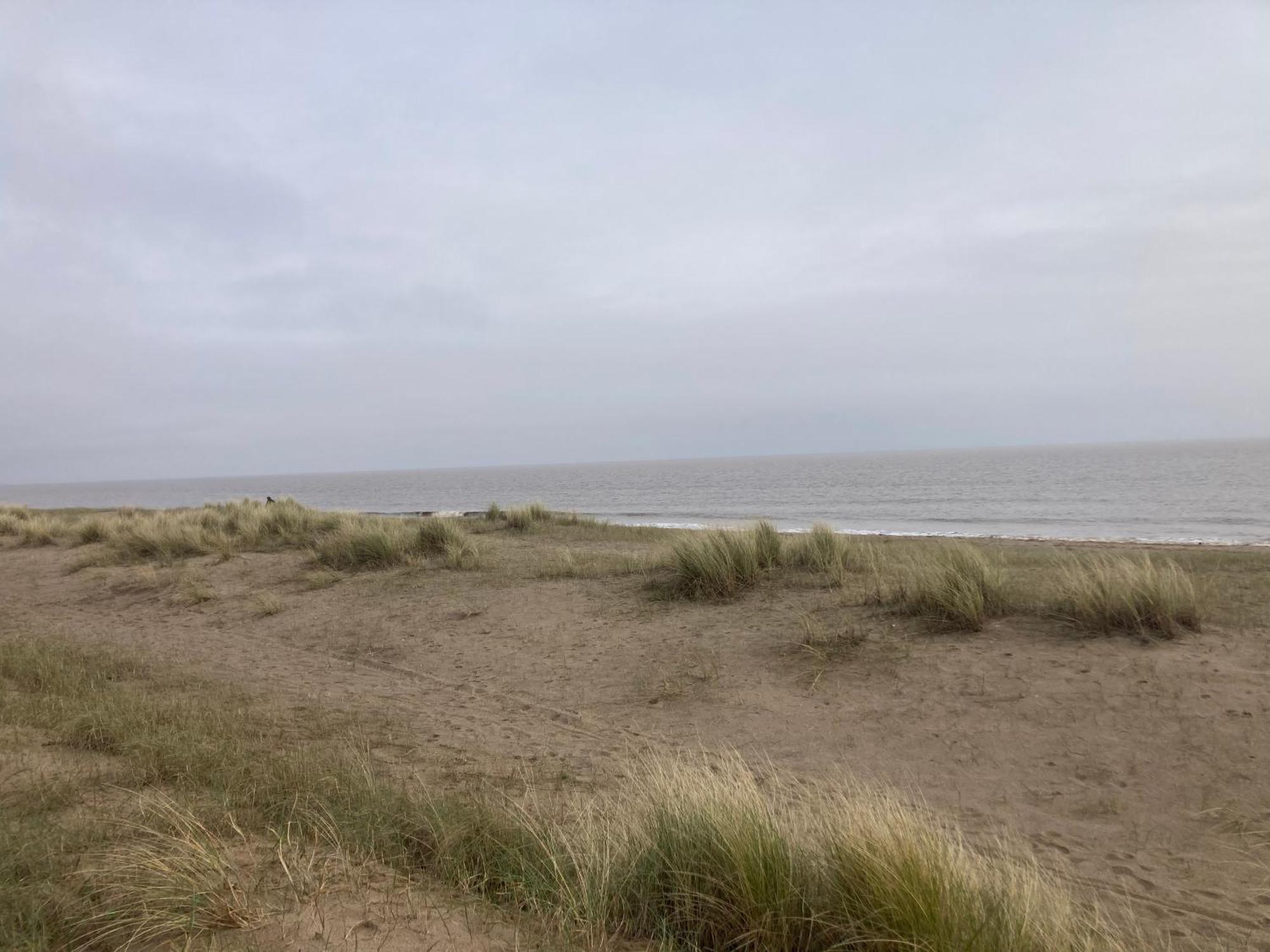 Pet Friendly Holiday Home On Golden Palm Skegness Buitenkant foto